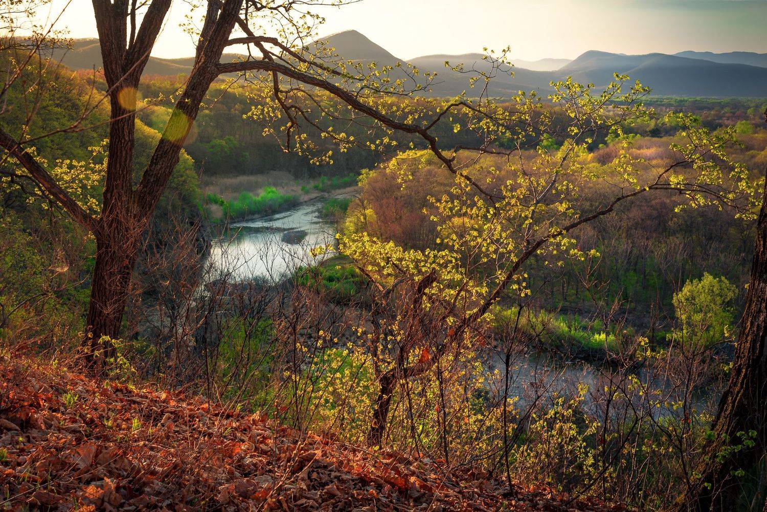 , Константин Костин
