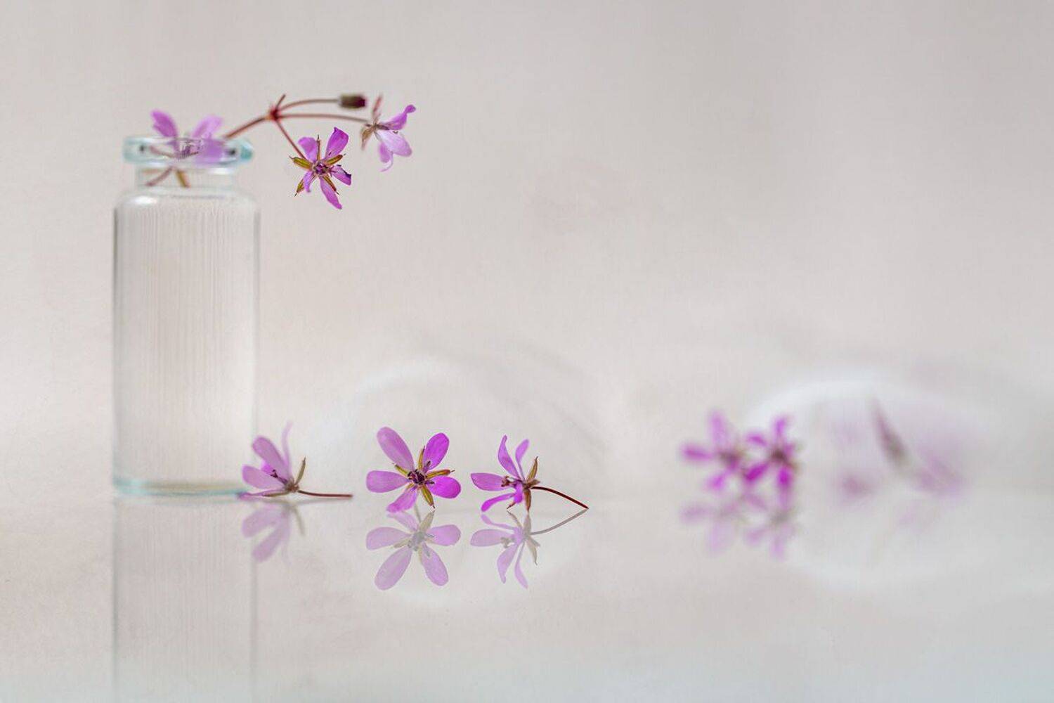 close-up, still life, Игорь Копцев