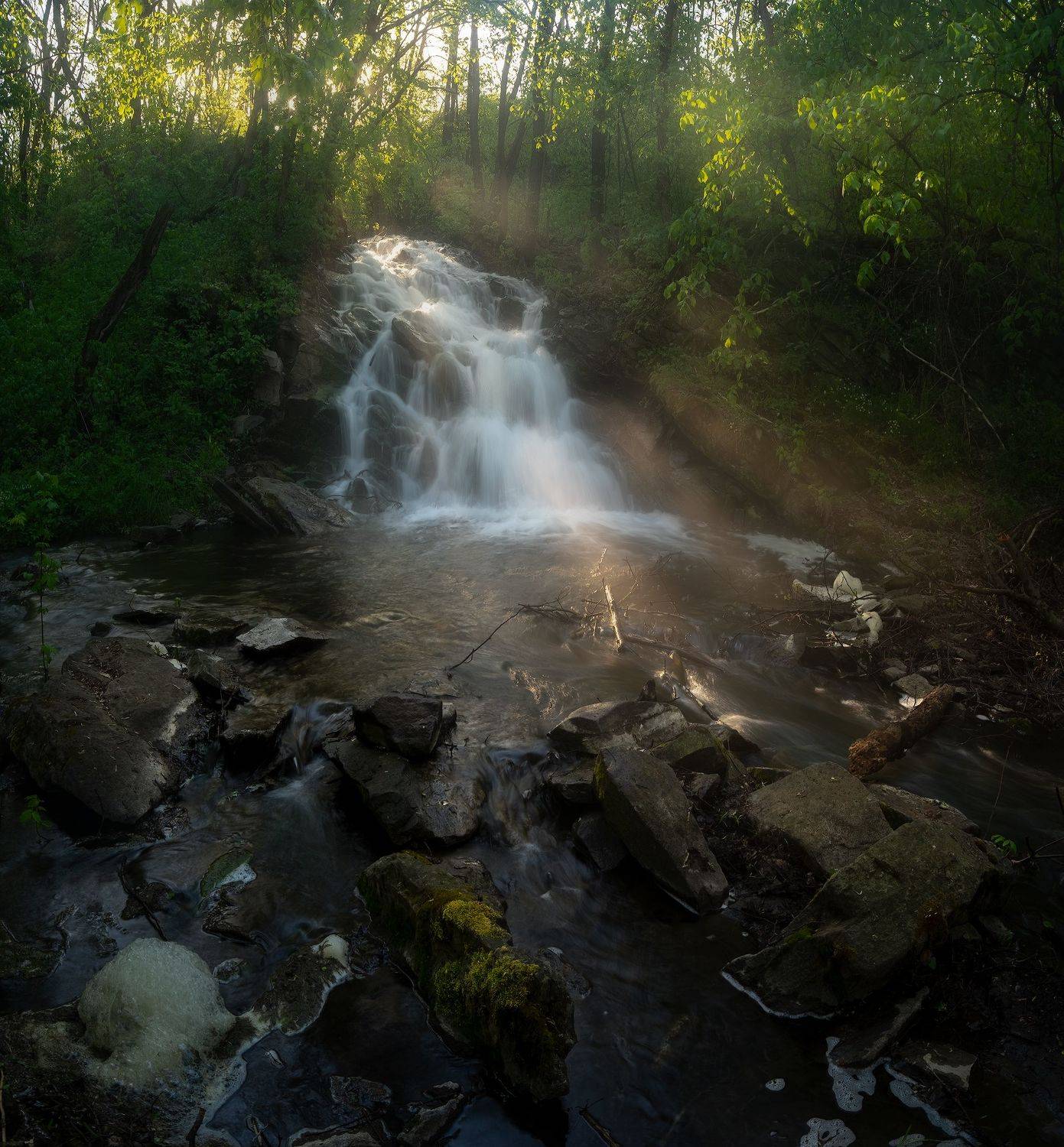 , Дитковский Евгений