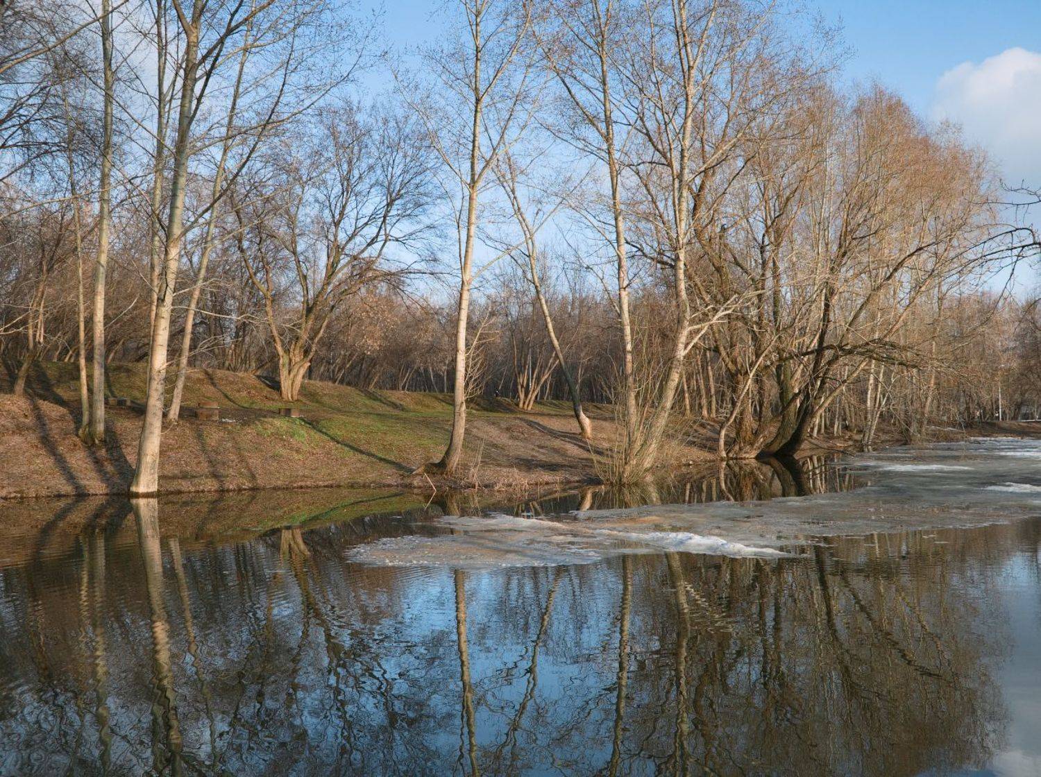 пруд, весна, лед, Андрей Ларионов