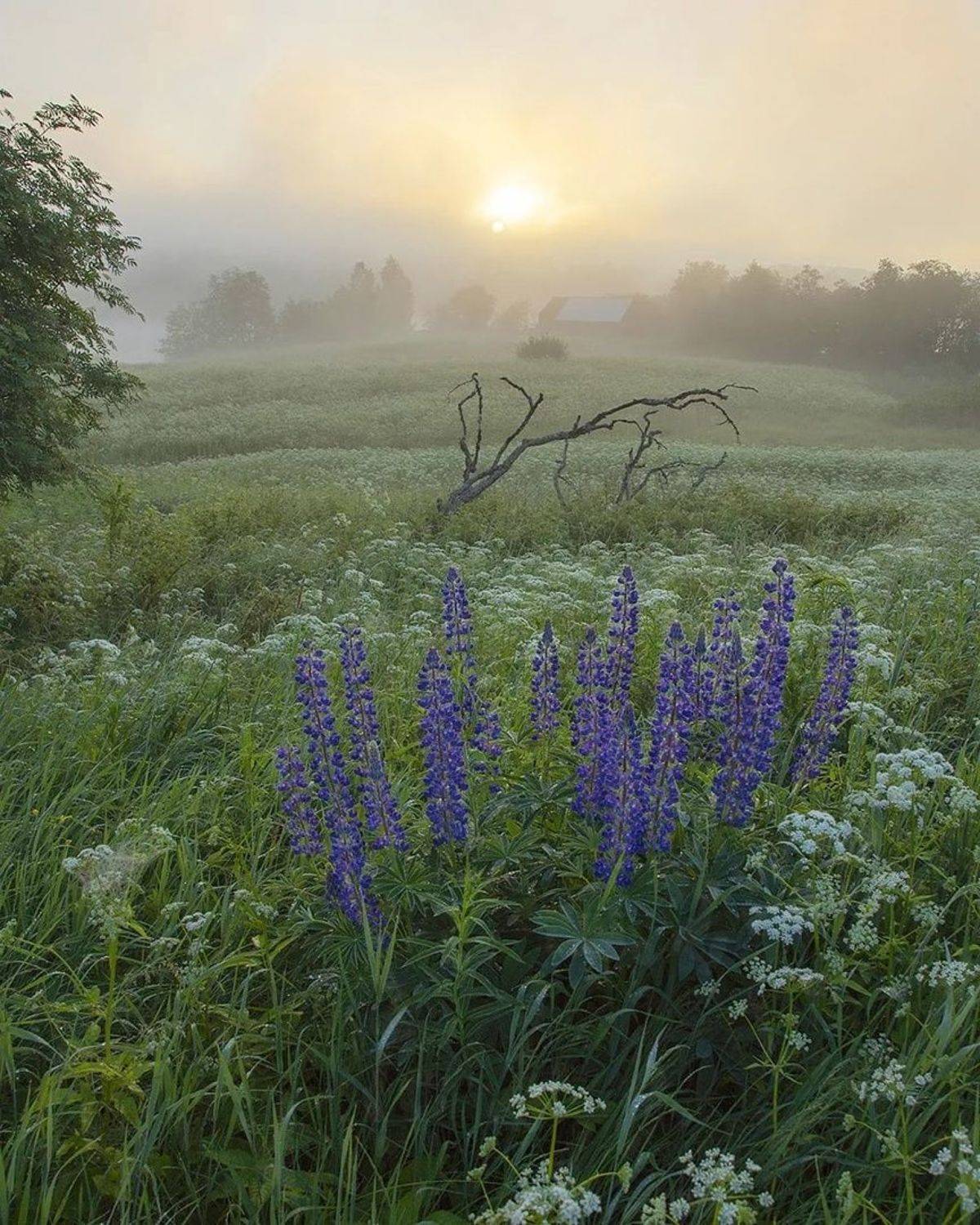, Петр Косых
