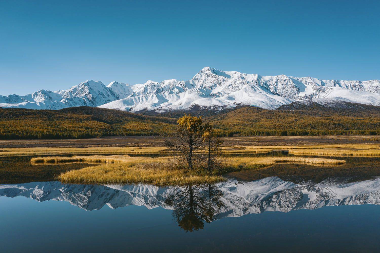 , Разум Митя