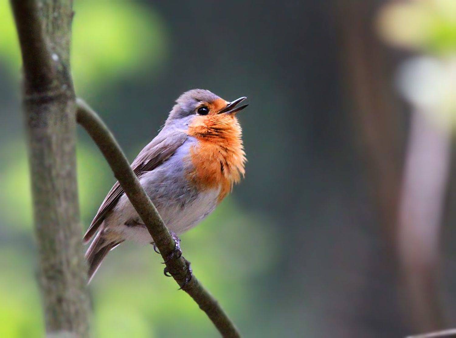 , Михаил Крюков