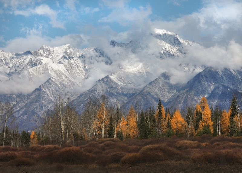 Краски осени фото превью