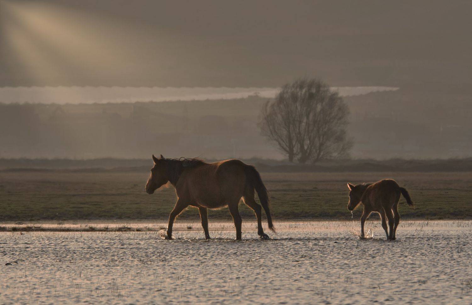 , Андрей Лабутин