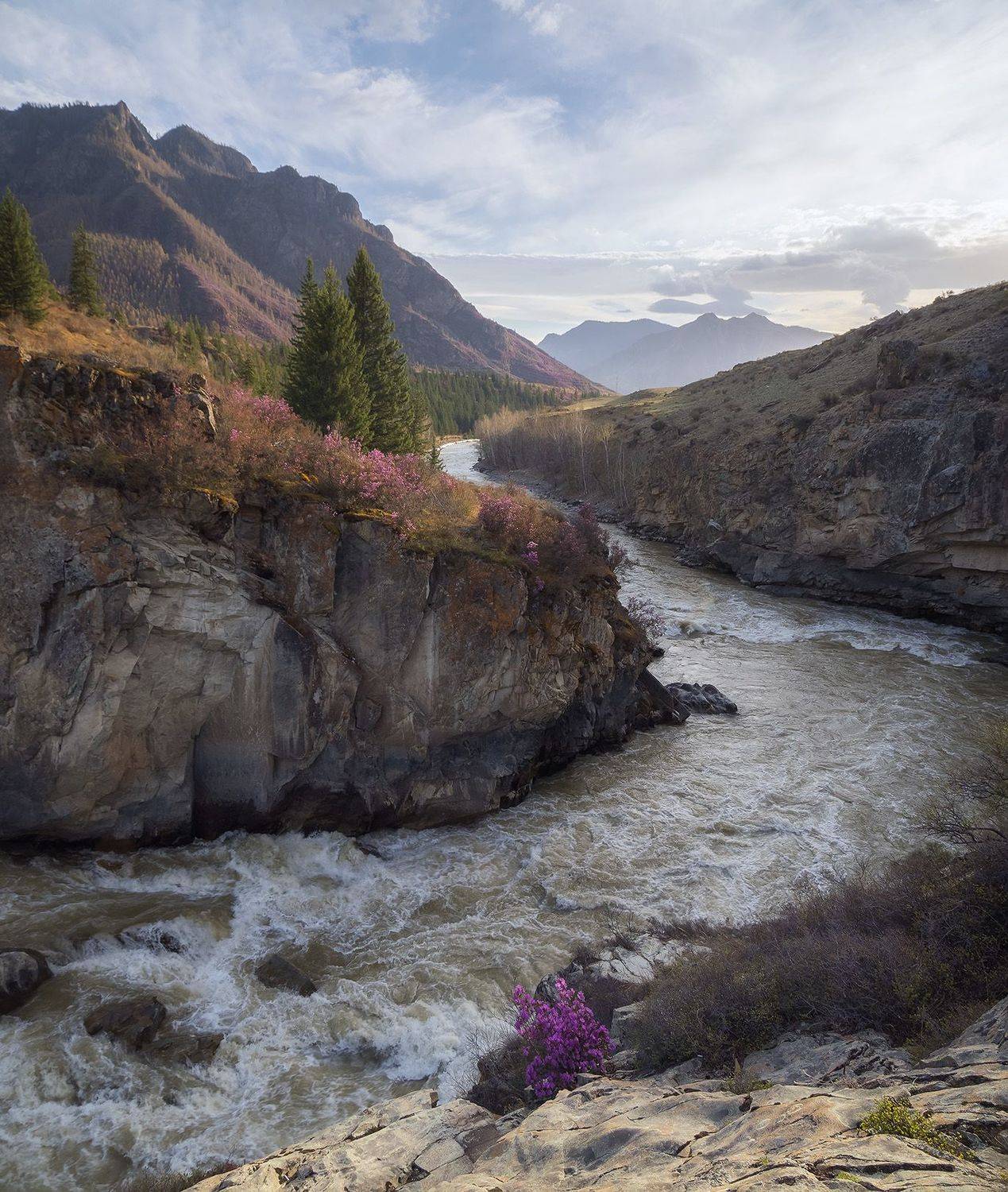 , Лещёнок Александр