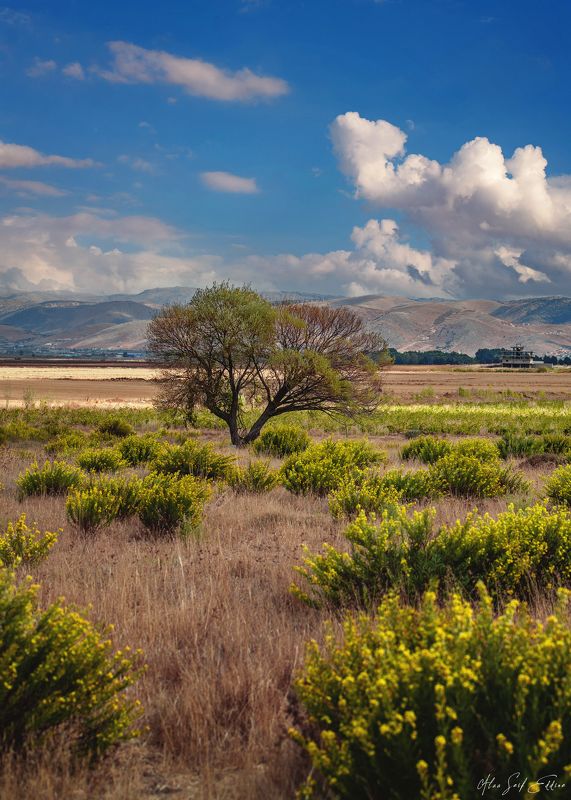 nature, naturephotography, landscape, colorful, alaaseifeddinephotography  фото превью