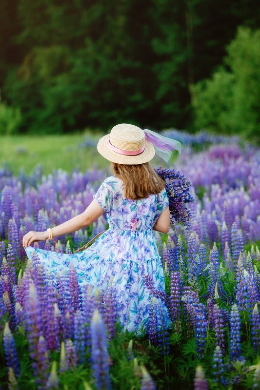 Lupins фото превью