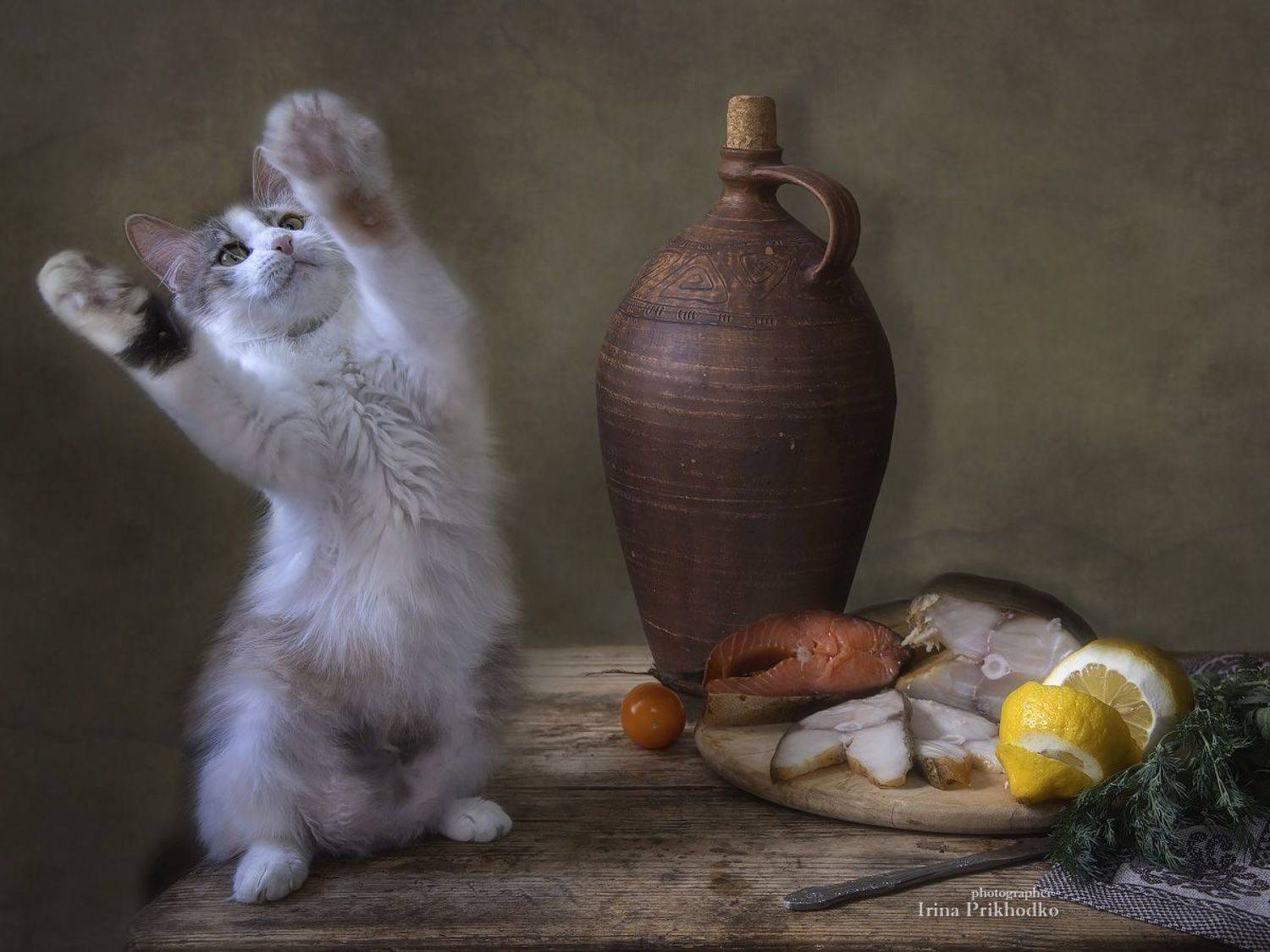 постановочное фото, котики, животные, домашние питомцы, копченая рыба, Приходько Ирина
