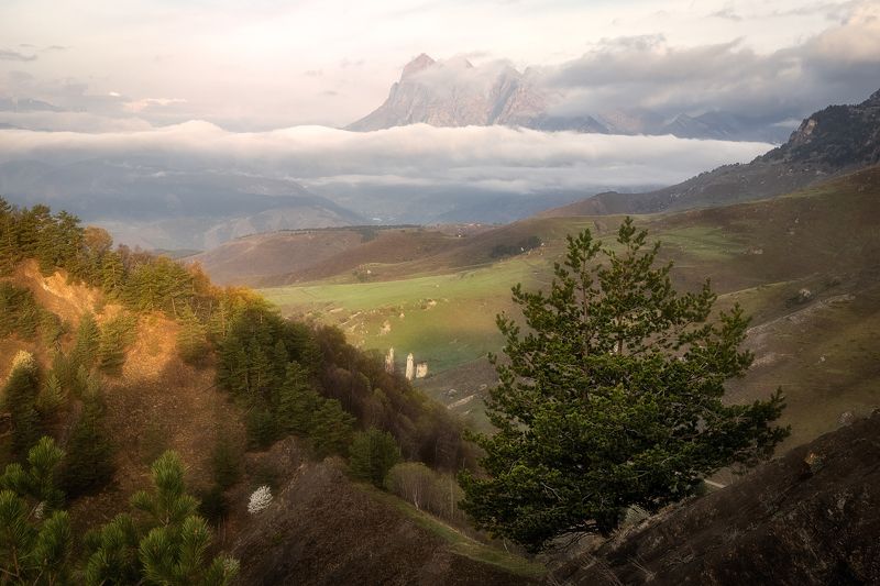 *** фото превью