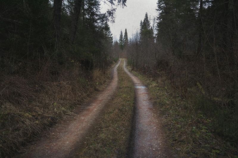 Дорога в ноябрь фото превью