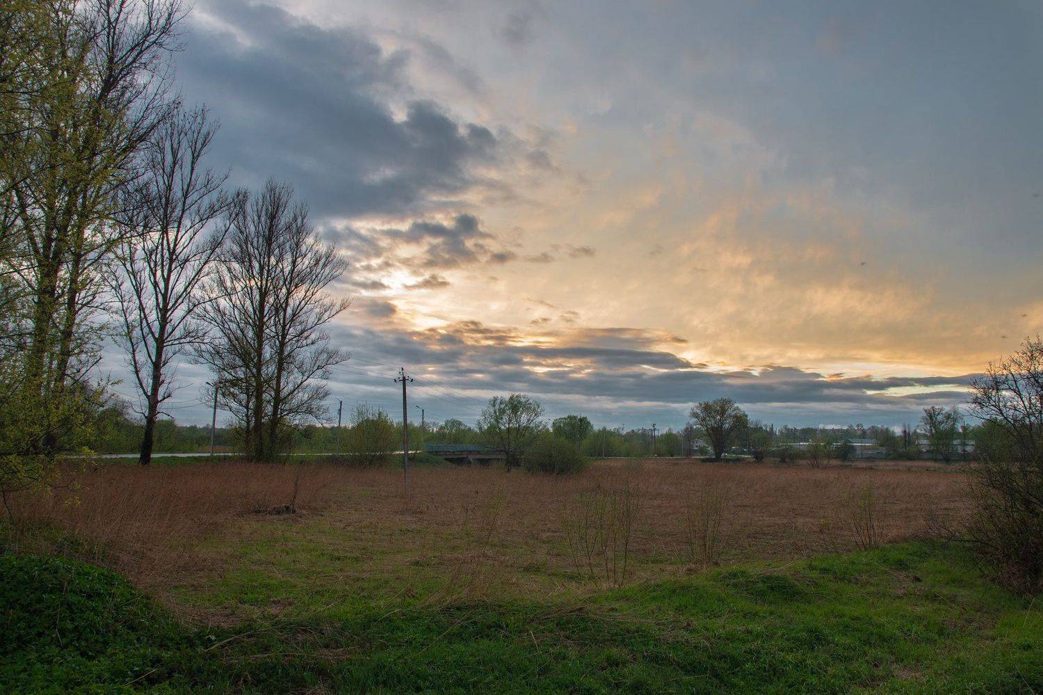 ,  Александр