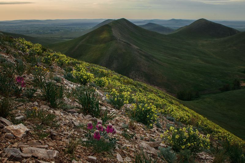 урал, южный урал, долгие горы, нагайские горы *** фото превью