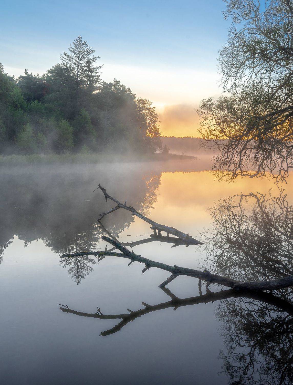 , Руслан Авдевич