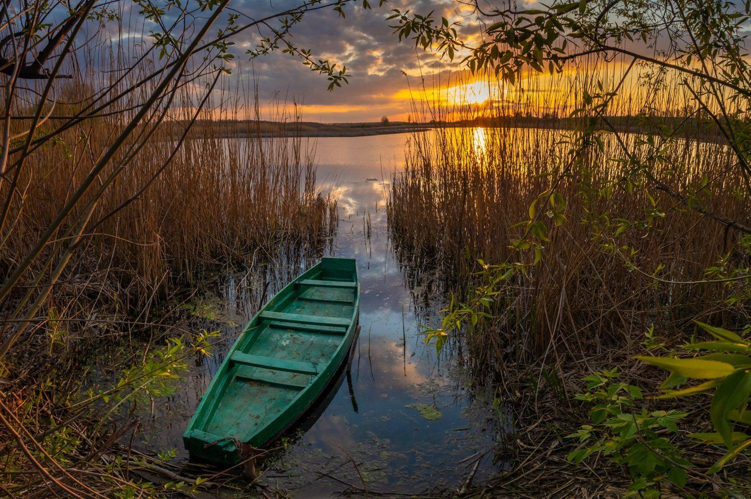 , Борисенко Денис