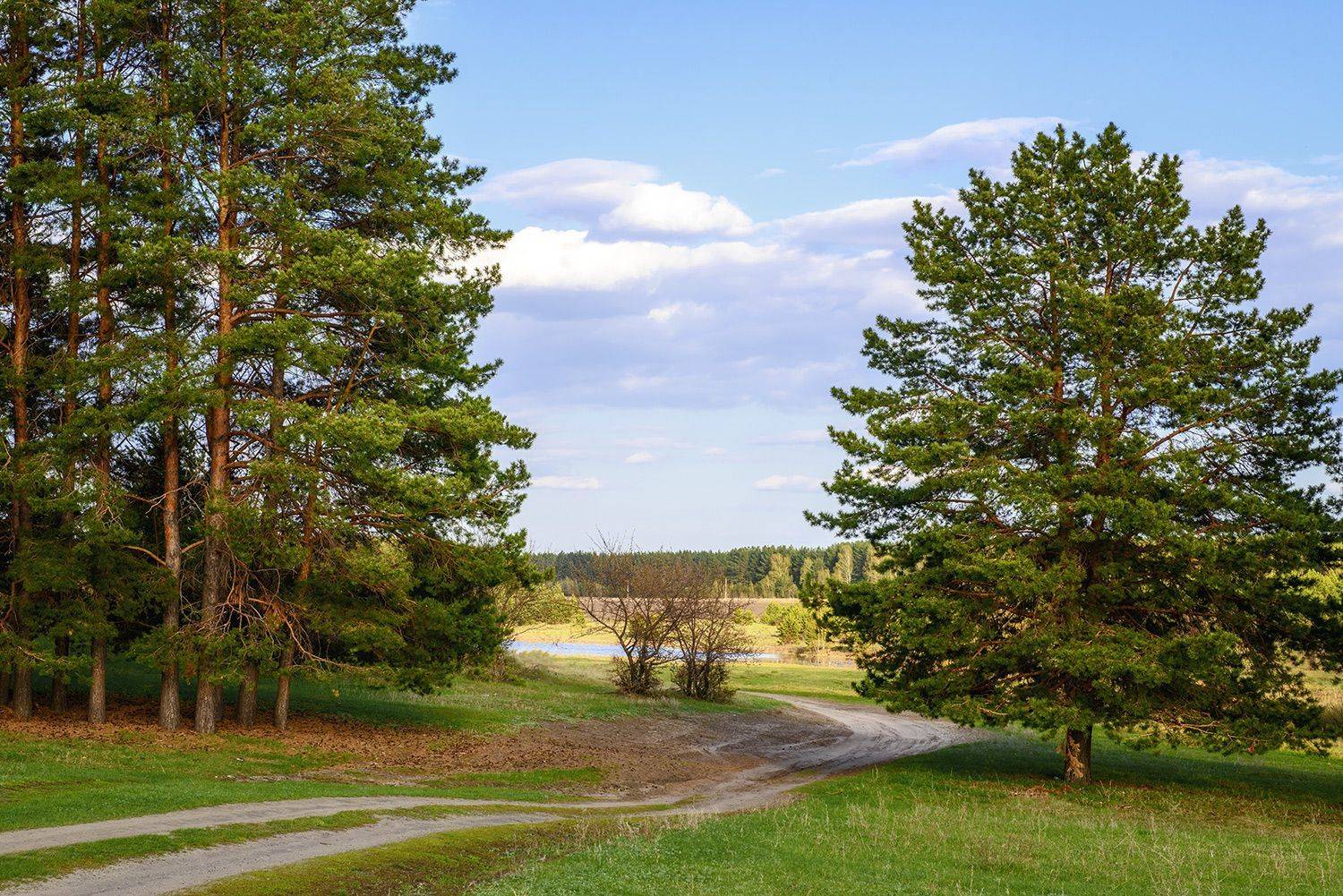 май весна дорога, Владислав Никишин