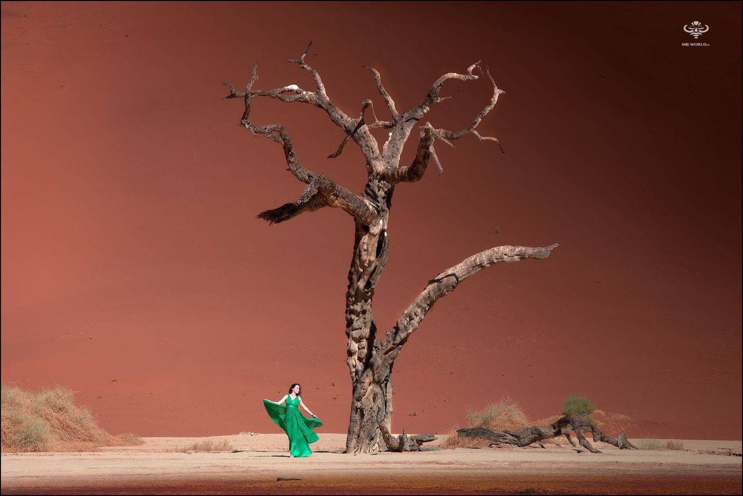 намибия, мертвый лес, deadvlei, фототур, mb-world, Mikhail Vorobyev