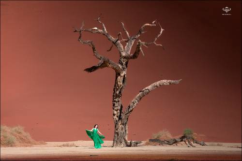 DeadVlei — легендарное место Намибии