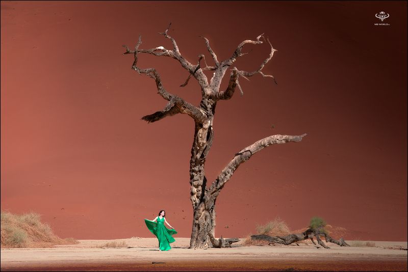 намибия, мертвый лес, deadvlei, фототур, mb-world DeadVlei — легендарное место Намибии фото превью