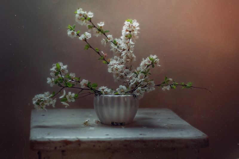 вишня* фото превью