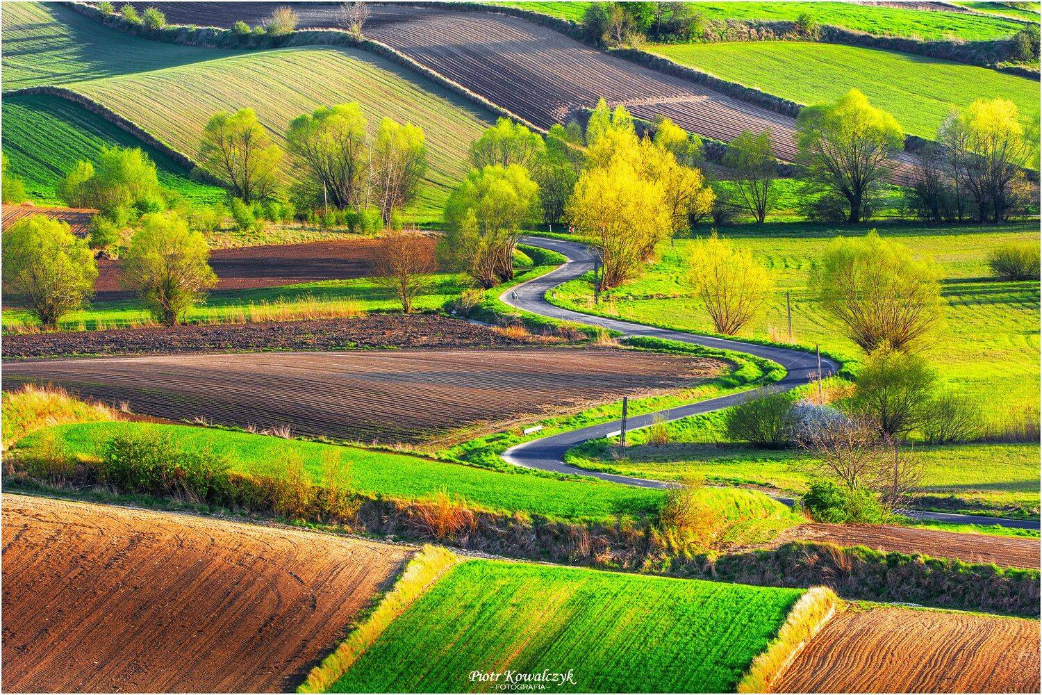 polska, ponidzie, wiosna, Kowalczyk Piotr