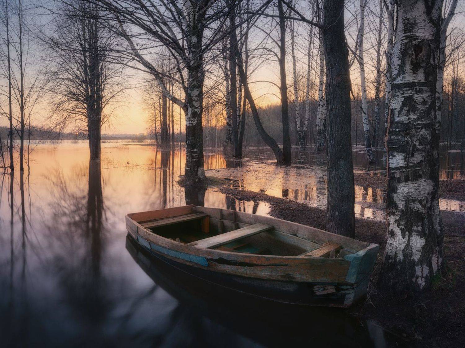 весна, разлив, Дмитрий Медянцев