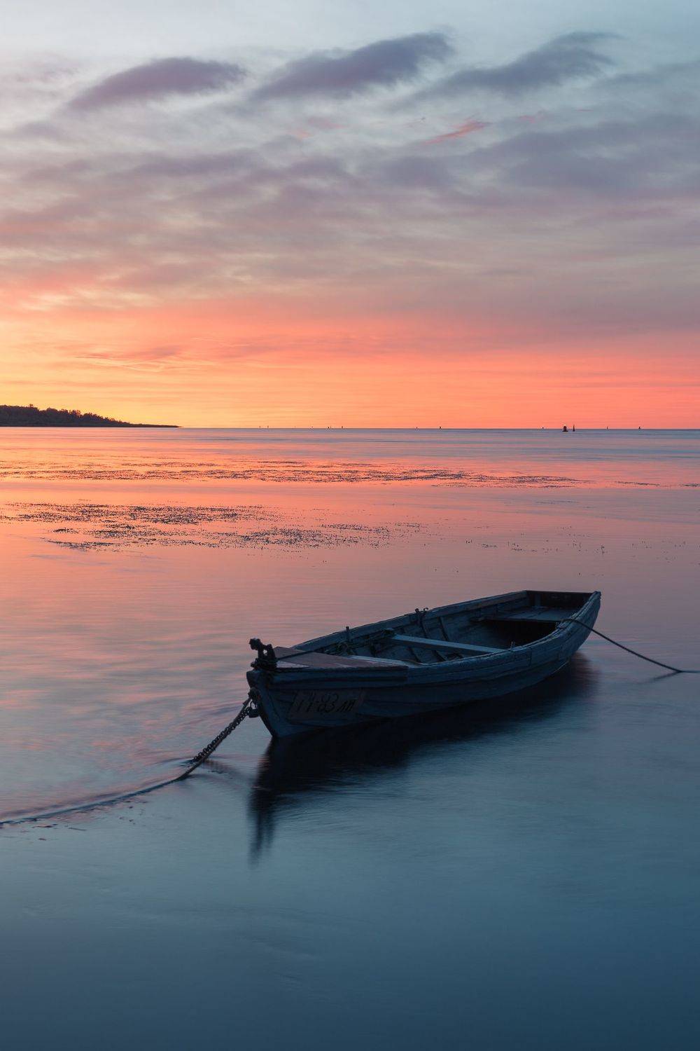 ленинградская область, ленобласть, Писарев Александр