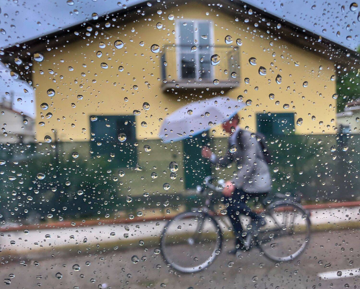 , Александр Шандов