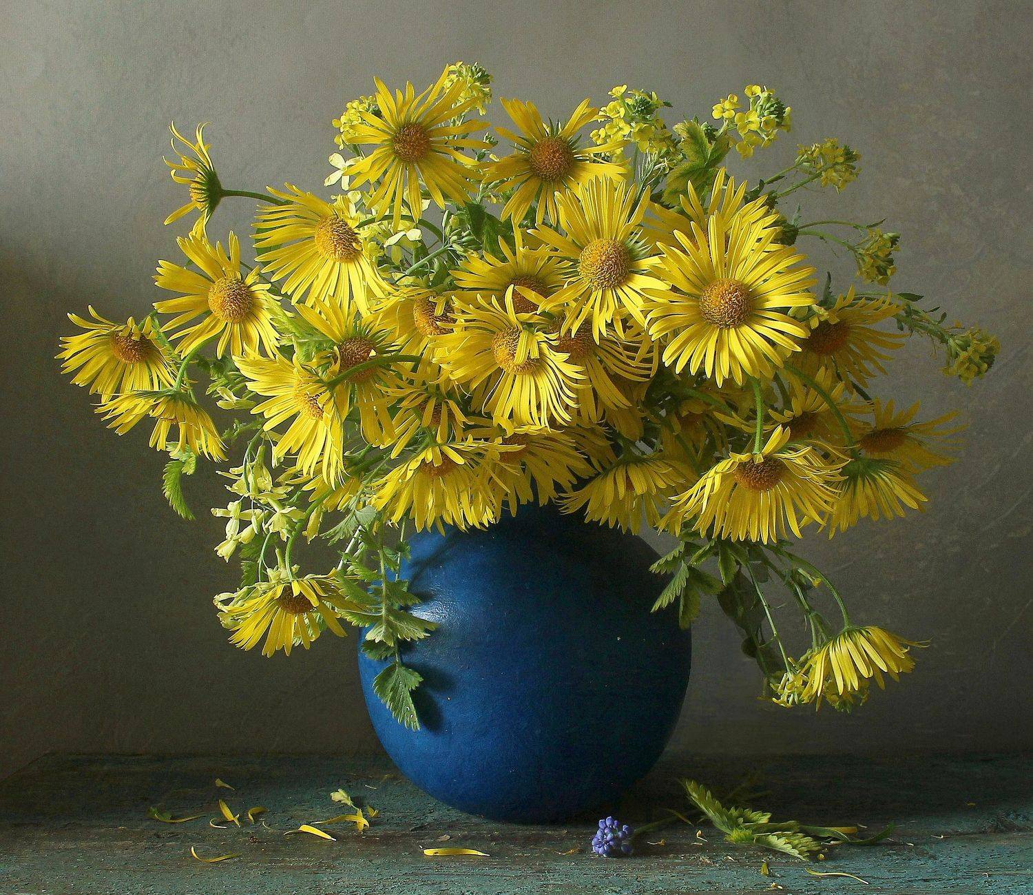 натюрморт, цветы, дороникум, весна, марина филатова, Марина Филатова