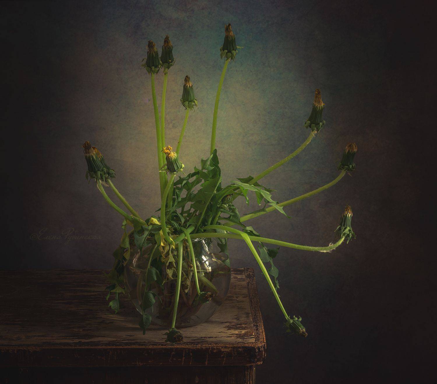 одуванчики, Елена Рубинская