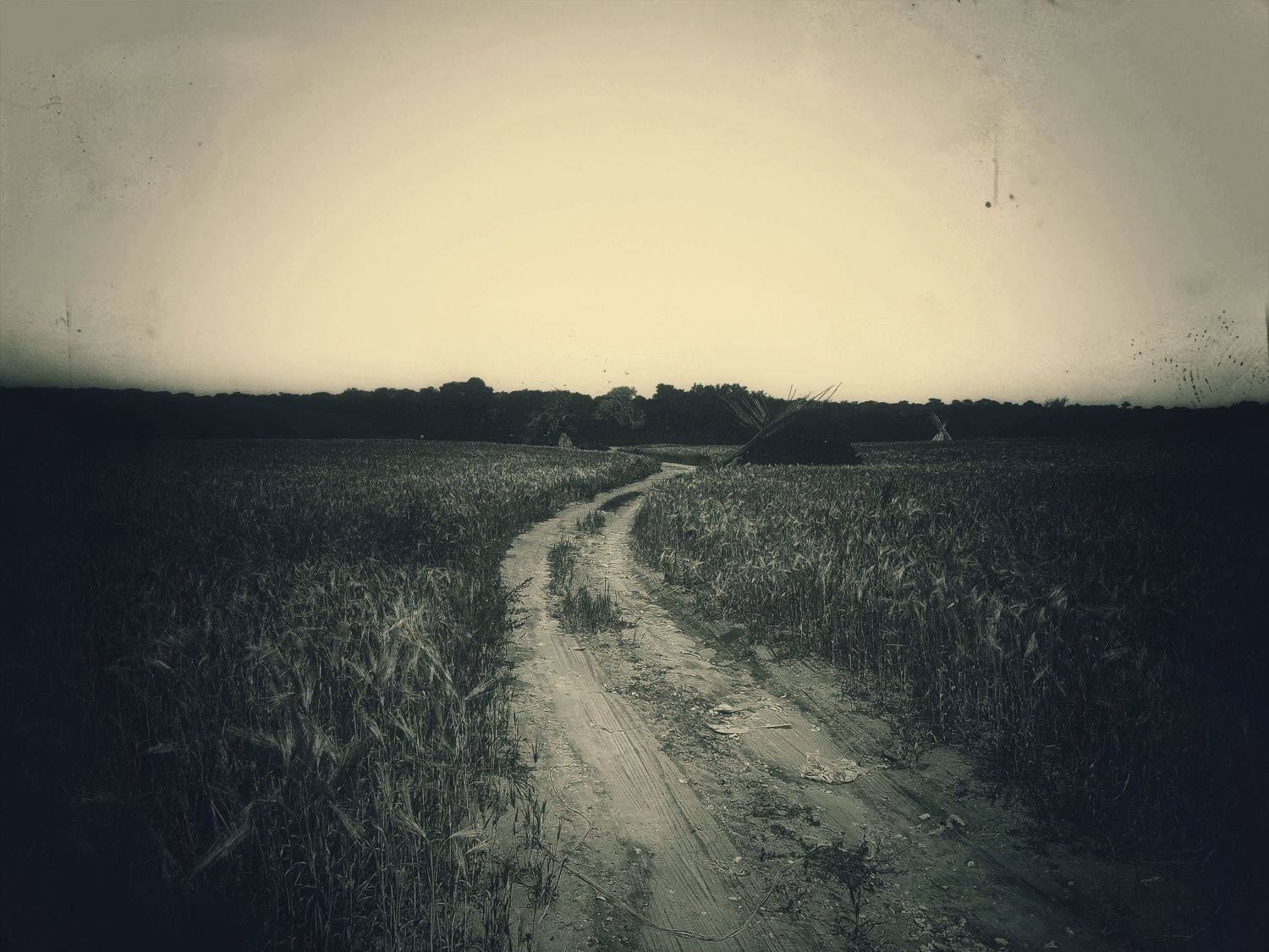 fine art, mood, landascape, nature, old, film, Benaissa Ilyes