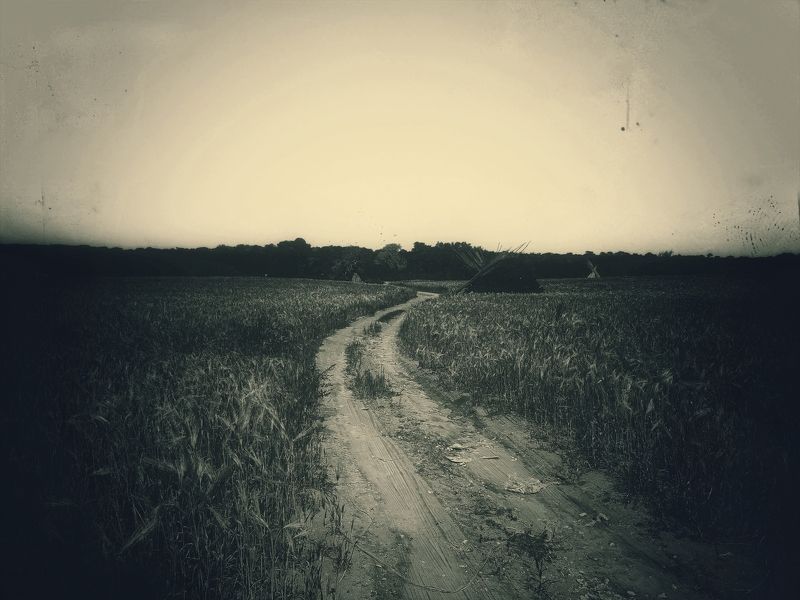 fine art, mood, landascape, nature, old, film between wheat fields фото превью