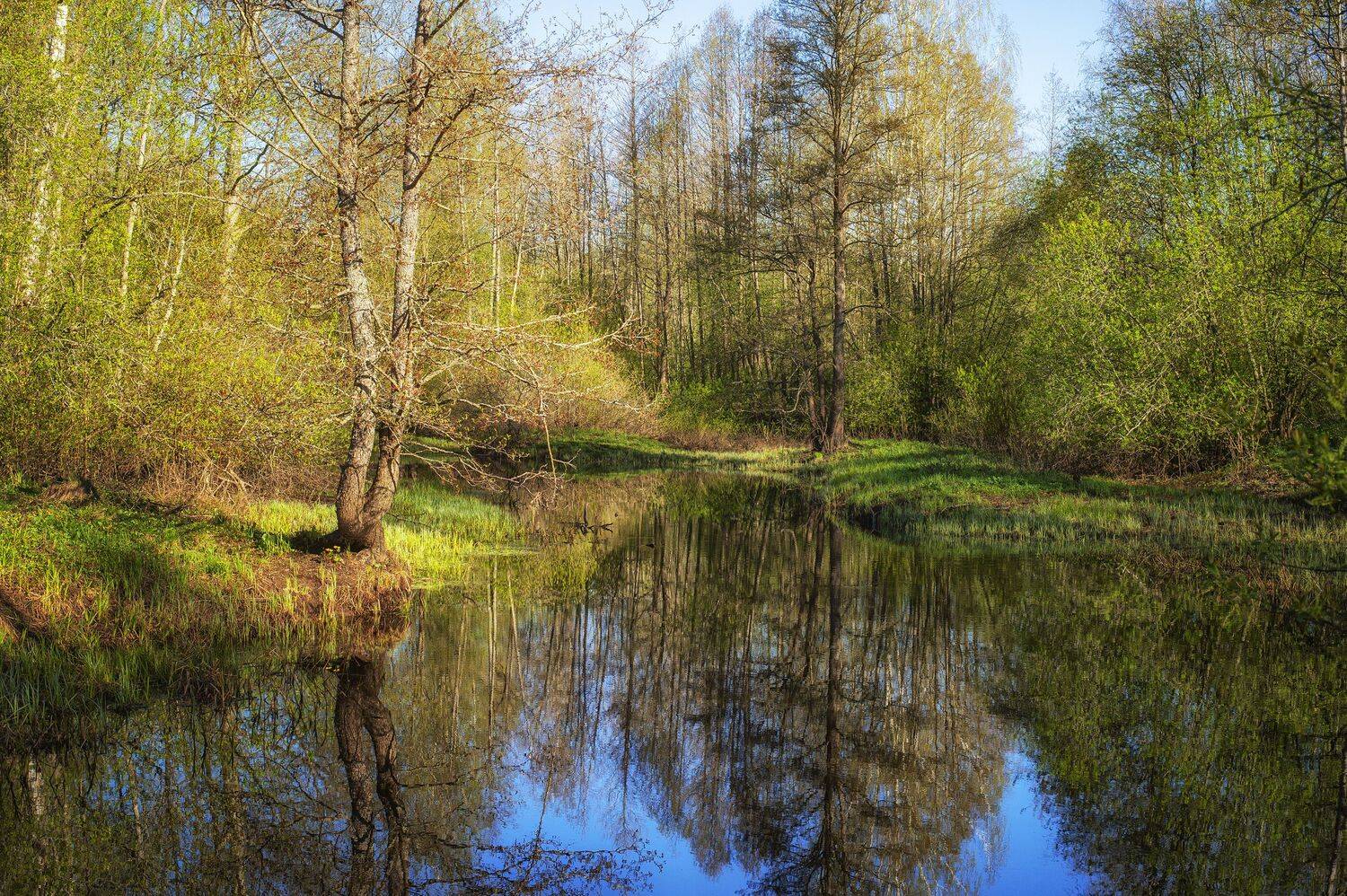 , Юрий Кулаков