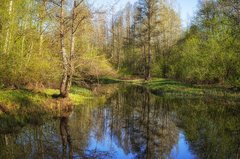 **** фото превью