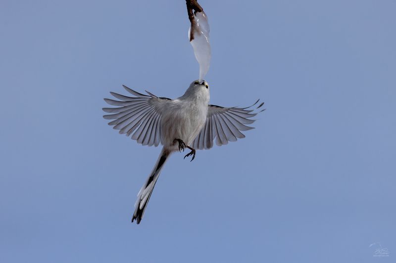 Жажда фото превью