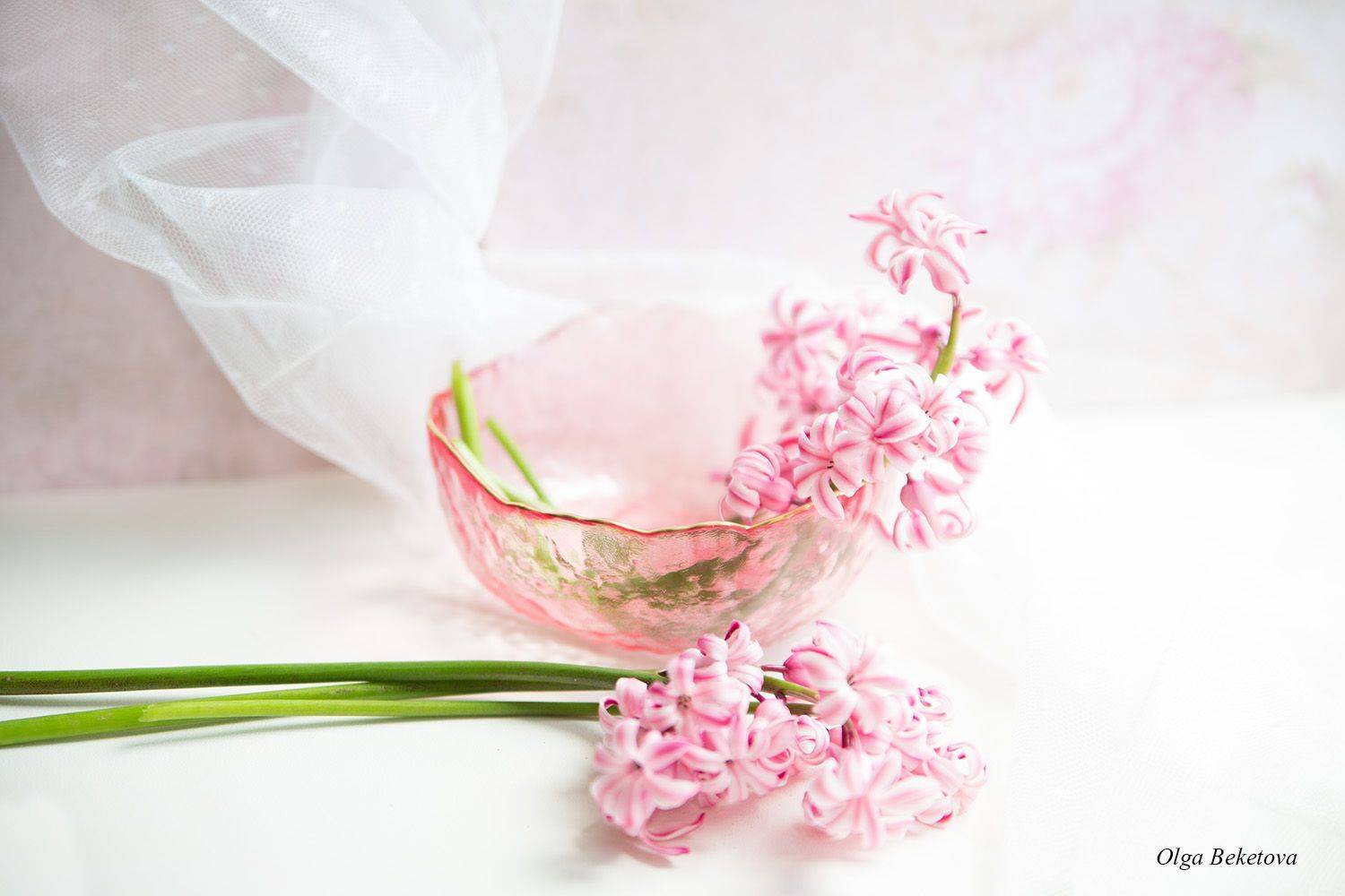 гиацинты, Бекетова Ольга