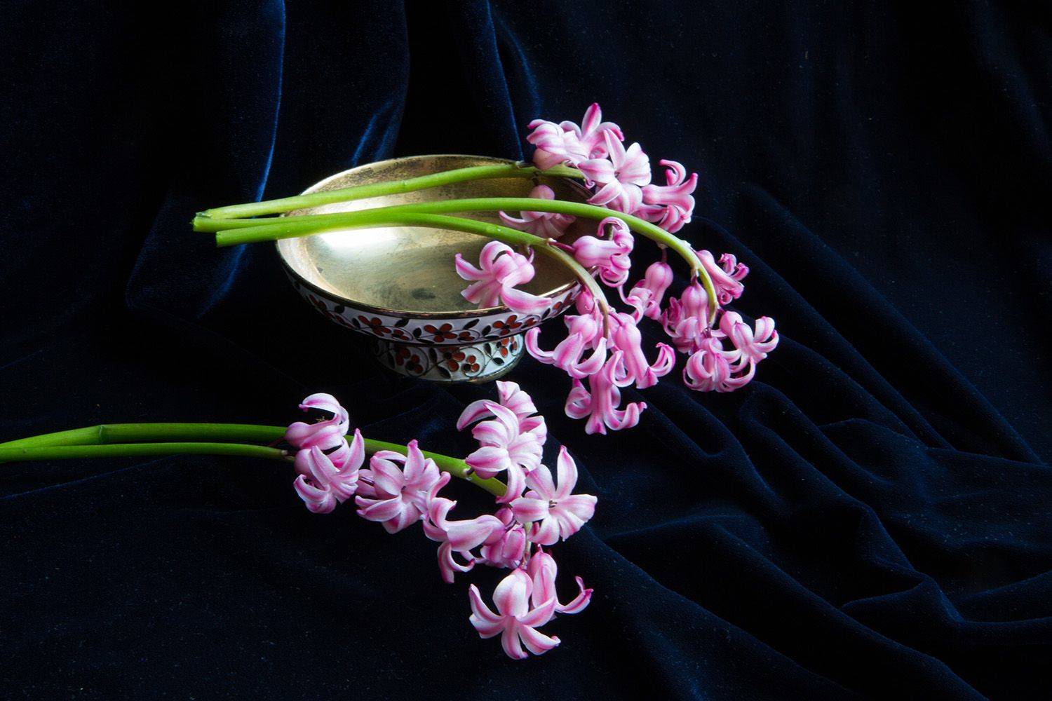 гиацинты цветы натюрморт, Бекетова Ольга