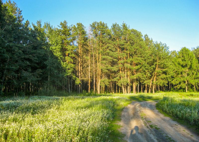 Прогулка с тенью фото превью