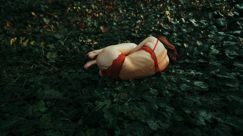 фото превью