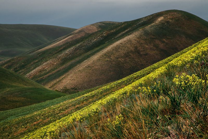 урал, южный урал, долгие горы Долгие горы фото превью