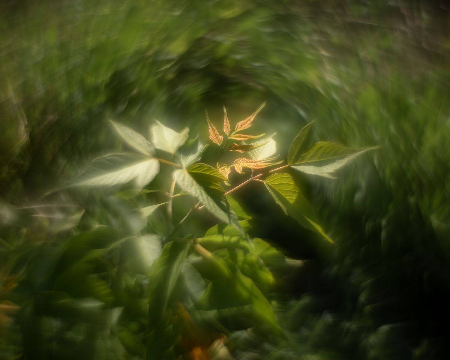 , Валерий Вторыгин