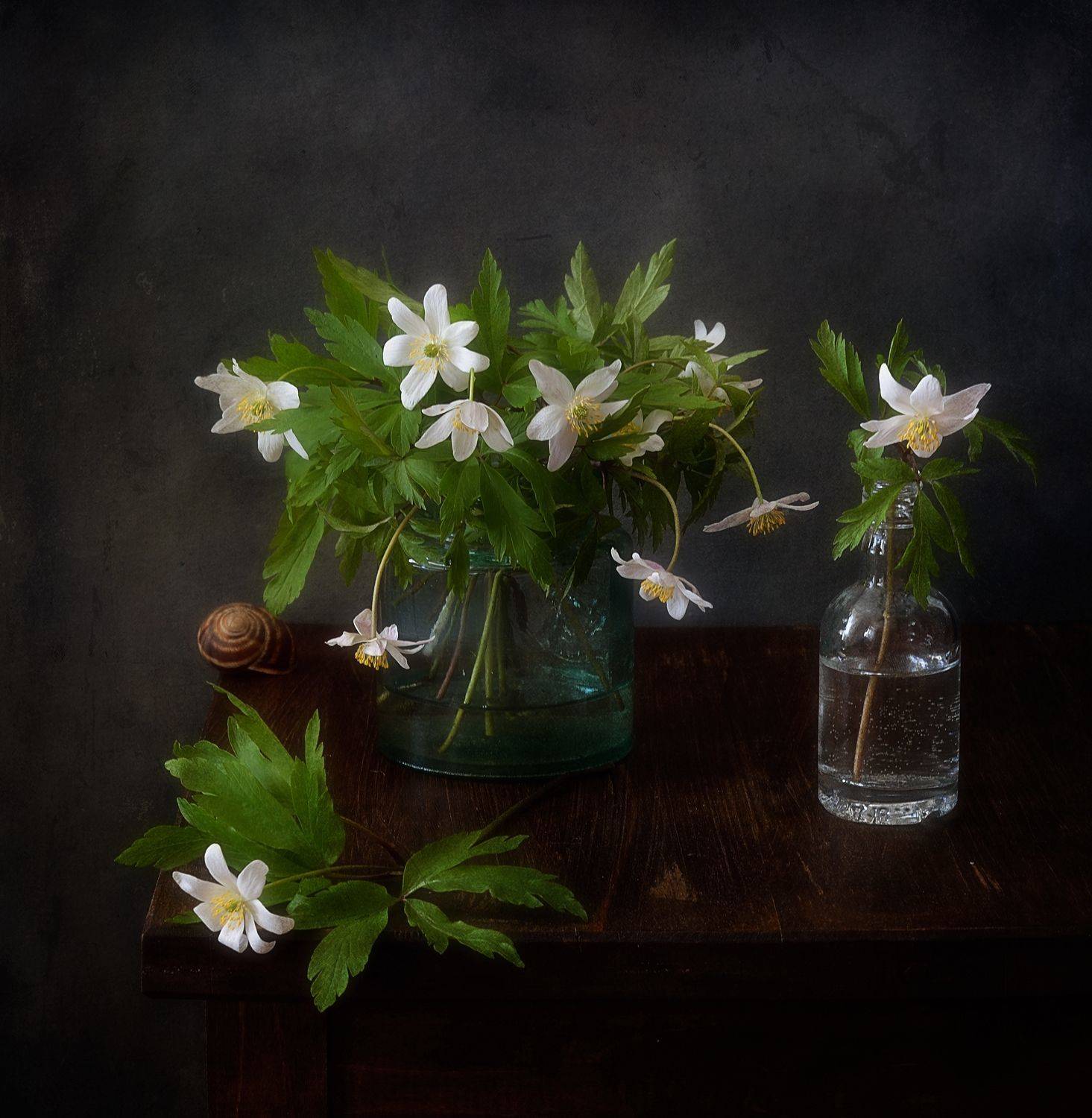 натюрморт,композиция,ветреница,анемоны,цветы,весна, Наталия К