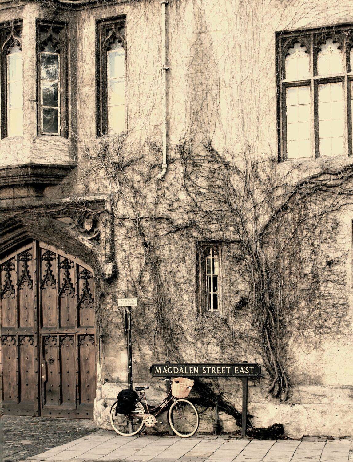 , Александр Шандов