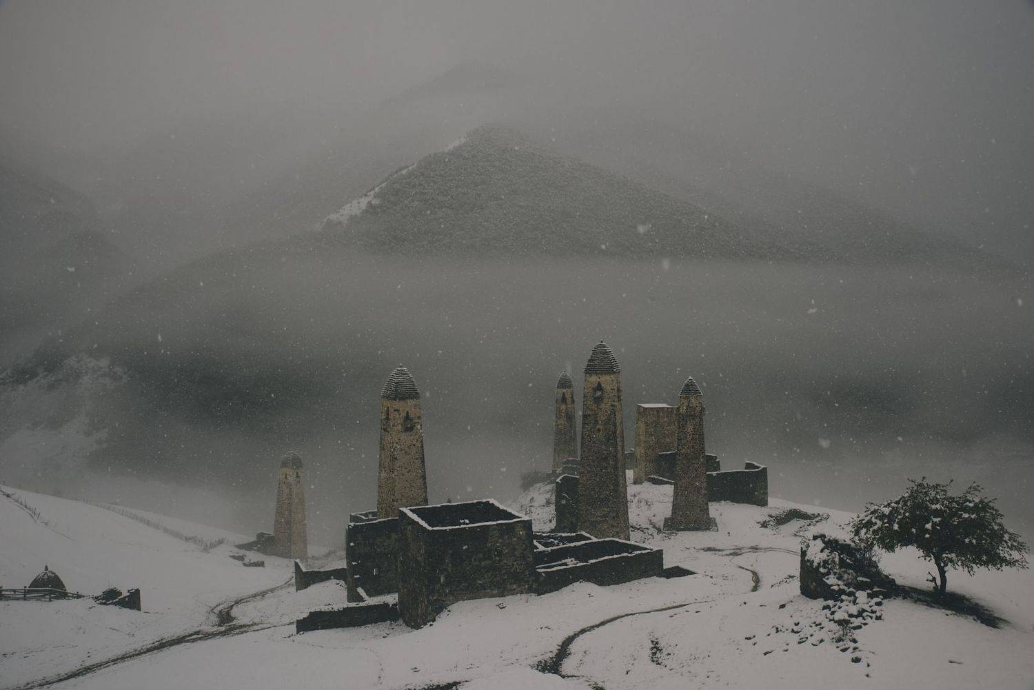 ингушетия, Андрей Ростовцев