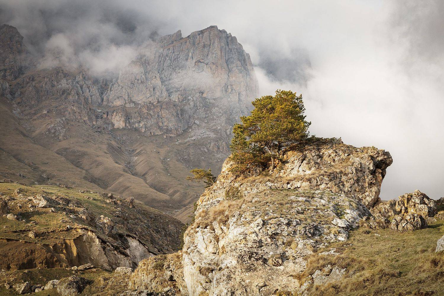 , Алексей Гурьев