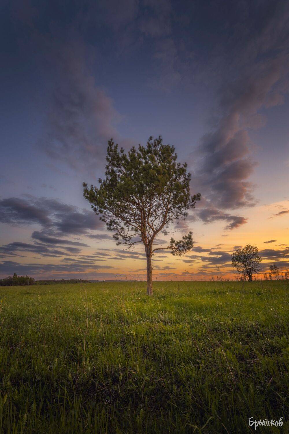 , Николай Брытков