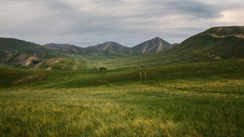 урал, южный урал, долгие горы Долгие горы фото превью