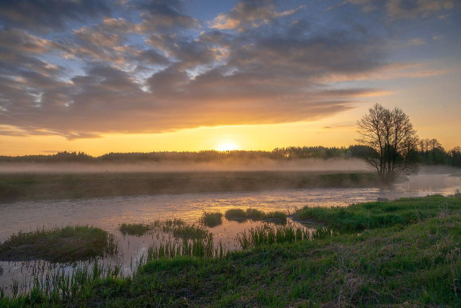 , Руслан Авдевич