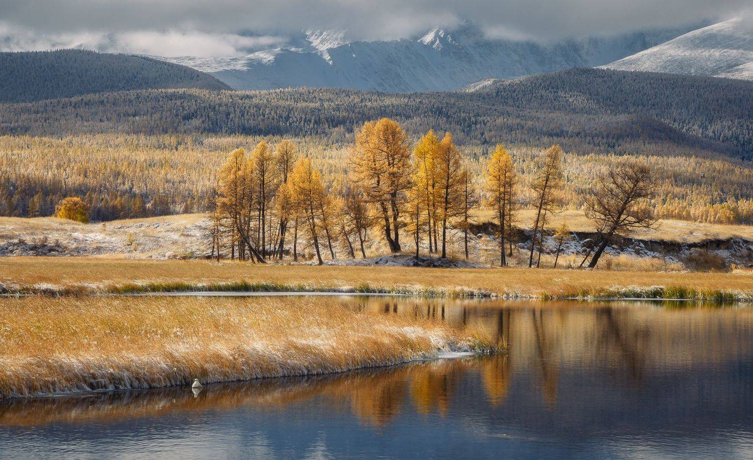 Алтай, Писарев Александр