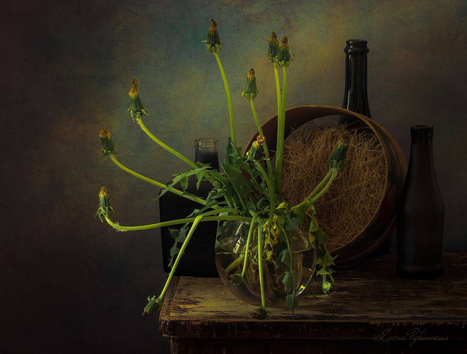 , Елена Рубинская